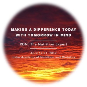 annual-conference-2017